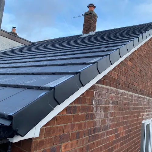 Recent roof project