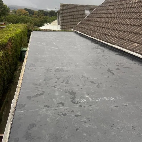 Recent roof project