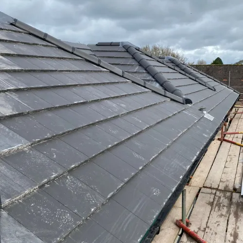 Recent roof project