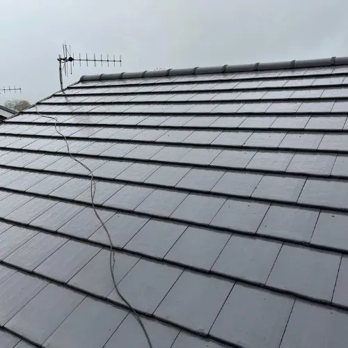 Recent roof project